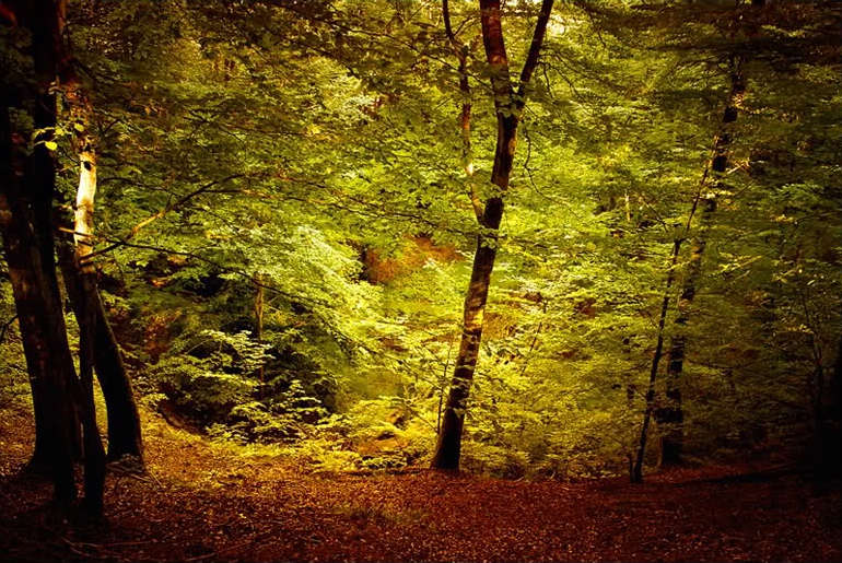 Turystyka i Atrakcje