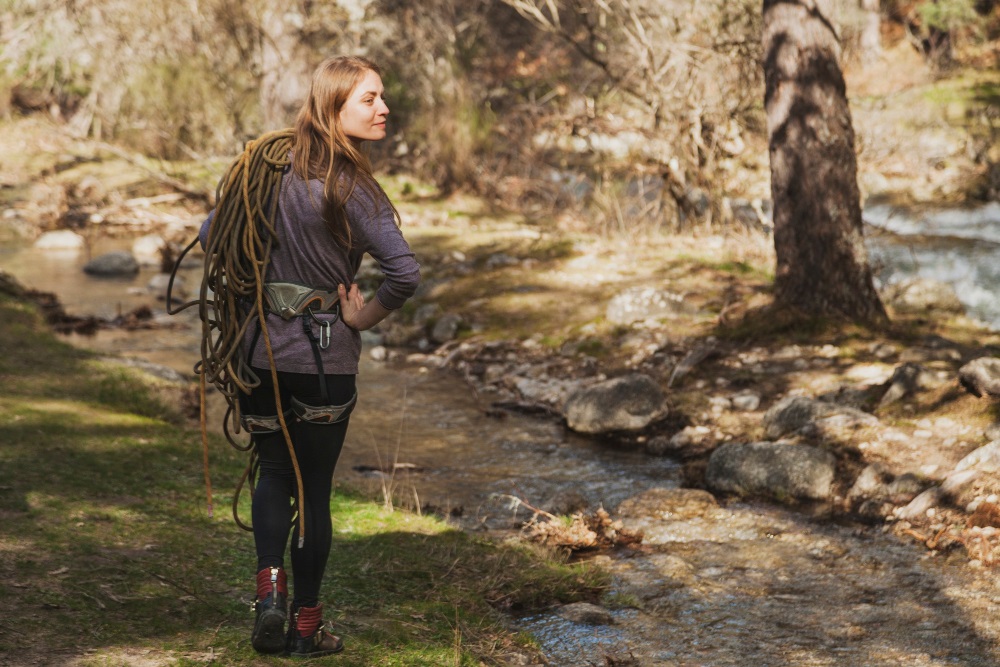 Wędrówka po nadarzyckich lasach – ścieżki, grzyby i zwierzęta